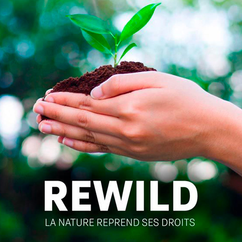 Rewild, la nature reprend ses droits
