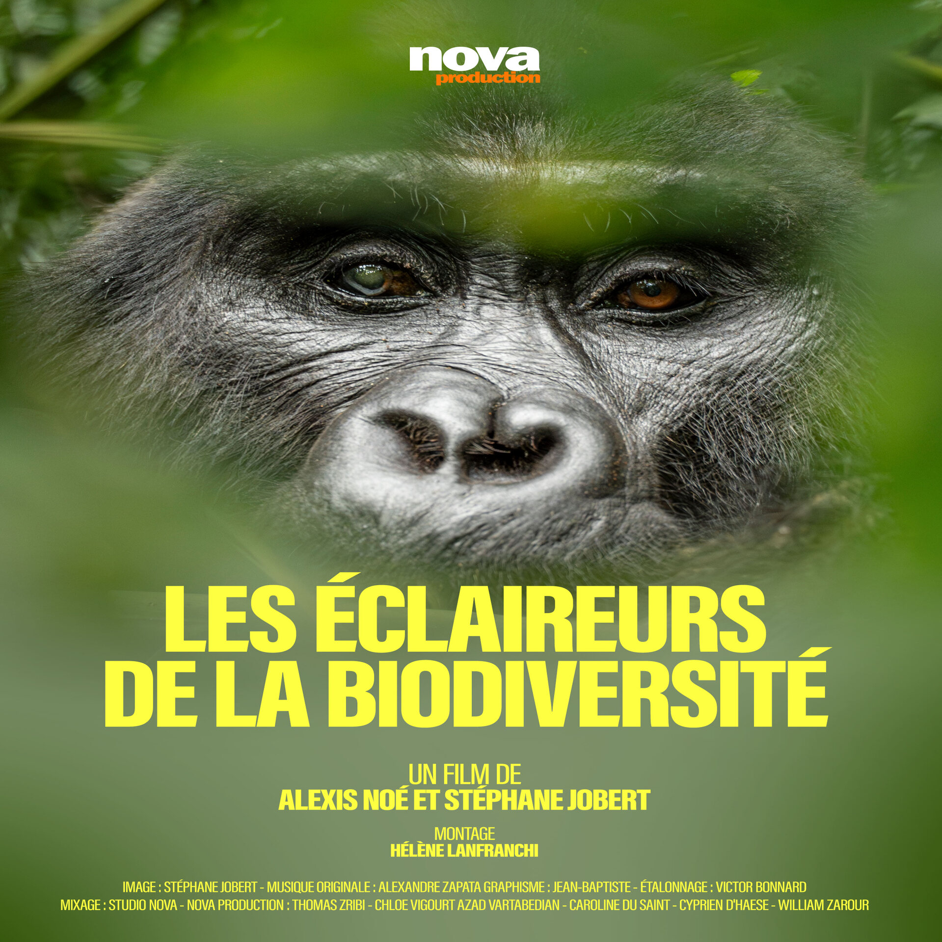 Les éclaireurs de la biodiversité